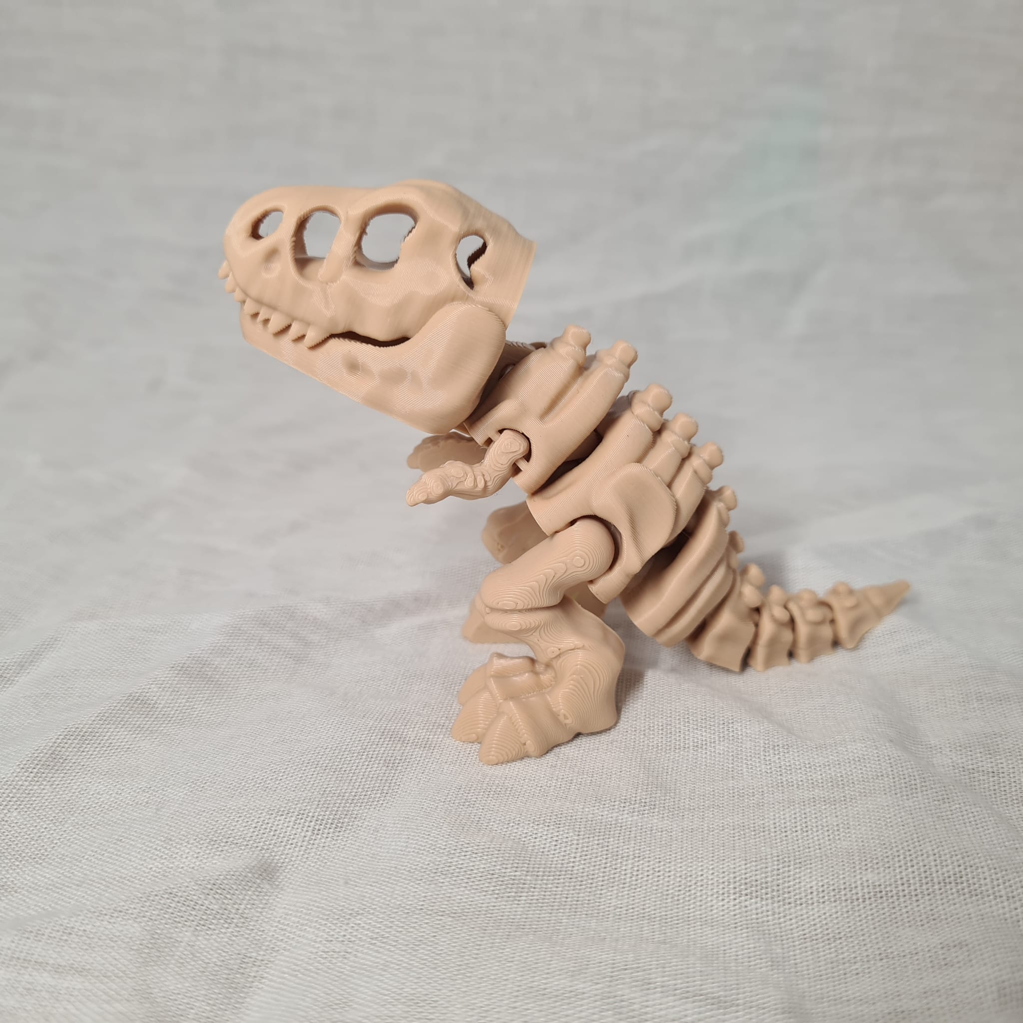 🦖 Bewegliches Dino-Skelett T-Rex