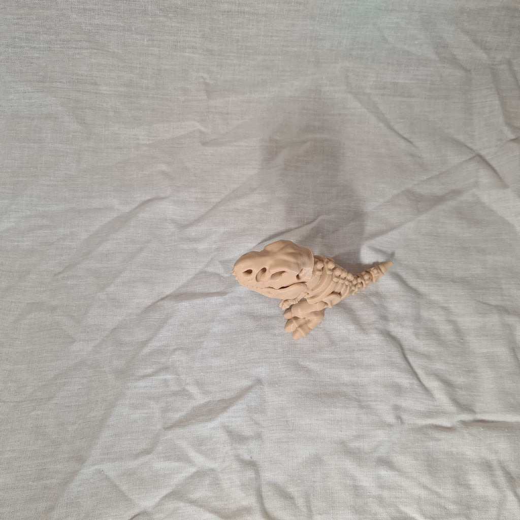 🦖 Bewegliches Dino-Skelett T-Rex