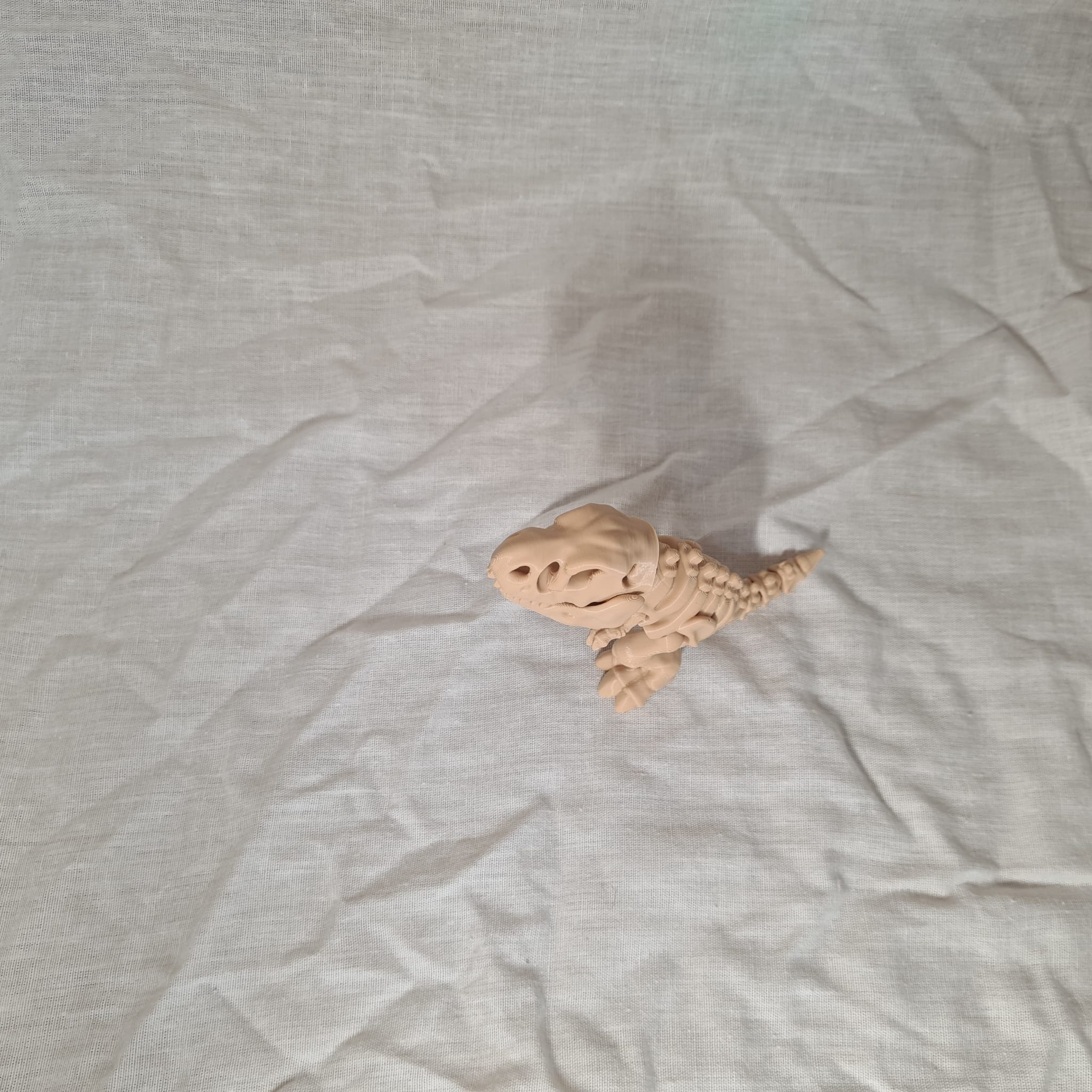 🦖 Bewegliches Dino-Skelett T-Rex